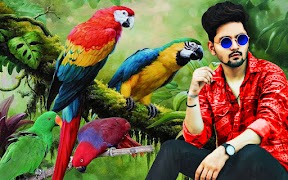 Parrot photo editor bird frame ภาพหน้าจอ 2