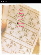 Tambola Number 호출자 응용 프로그램 스크린샷 7