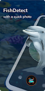 FishDetect - Fish Identifier 海報