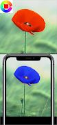 Color Changer Camera اسکرین شاٹ 7