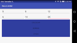 Gauss Jordan 스크린샷 3