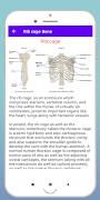 Human Bones screenshot 4