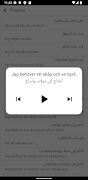 Learn Swedish without Internet screenshot 3
