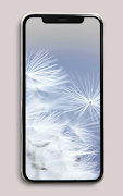 White Wallpapers Ekran Görüntüsü 4
