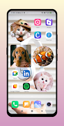 Photo Widget Pro screenshot 6
