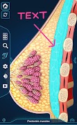 Breast Anatomy Pro. اسکرین شاٹ 6