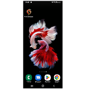 Peixes Wallpaper ảnh chụp màn hình 4