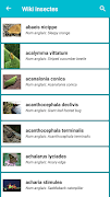 Insect Identification स्क्रीनशॉट 4