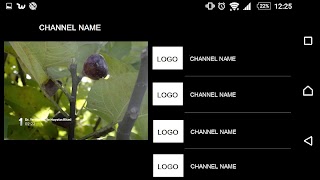 King IPTV HD screenshot 1