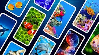 Underwater Wallpapers PRO poster