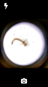 GoCamera - Microscopic Camera screenshot 2