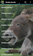 برنامه‌نما Donkey Sounds عکس از صفحه