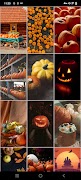 Pumpkin Wallpapers screenshot 3