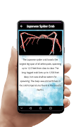 deep sea creatures скриншот 3