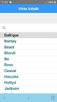 Híresek Screenshot 2