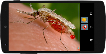برنامه‌نما Magnifier & Light عکس از صفحه