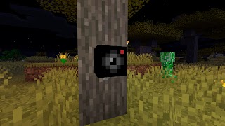 Security Camera for Minecraft ảnh chụp màn hình 2