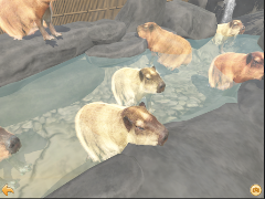Capybara Zoo تصوير الشاشة 5