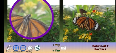 Spot the differences bài đăng