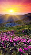 Spring wallpapers 截圖 2