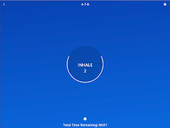 Pengatur Waktu Napas screenshot 6