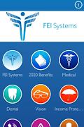 FEI Systems poster