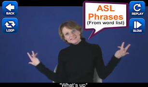 ASL Translator screenshot 4
