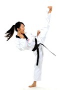 پوستر Taekwondo Guide