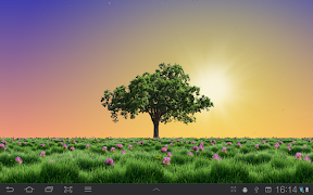 Summer Trees Free スクリーンショット 4