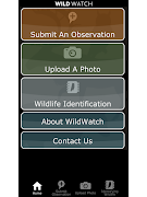 Wild Watch screenshot 1