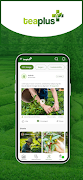 TeaPlus syot layar 3