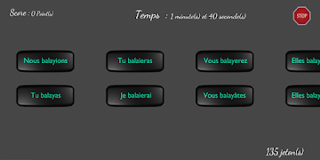 DefilConjugaison screenshot 7