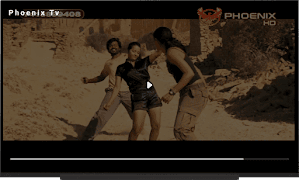 Phoenix Tv скриншот 4