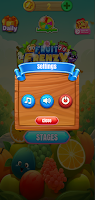 Fruit Frenzy Fiesta تصوير الشاشة 3