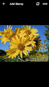 Automatic PhotoStamp imagem de tela 5