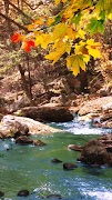 برنامه‌نما Forest عکس از صفحه