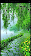 Green Wallpaper poster
