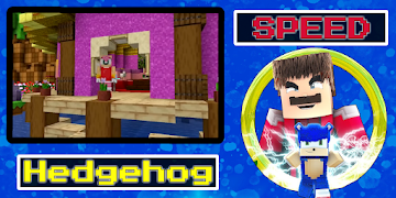 Hedgehog speed mod screenshot 4