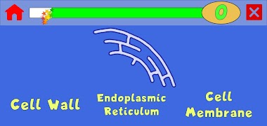 Learn: Cells ảnh chụp màn hình 3