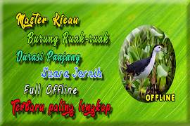 Suara Burung Ruak Ruak MP3 海报