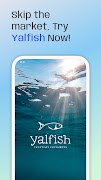 yalfish poster