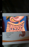RicharCRVehycal screenshot 2