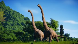 Ancient Evolution Poster