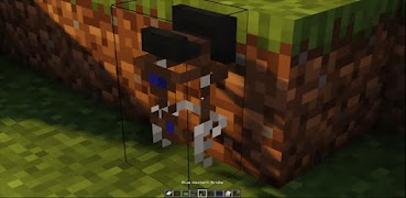 Swem Horse realistic Mod MCPE পোস্টার