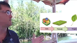 Adventure Learning Inside Huma تصوير الشاشة 1