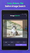 Reverse Image & Photo Search Screenshot 3