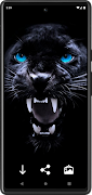 Panther Wallpapers स्क्रीनशॉट 7