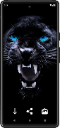 Panther Wallpapers स्क्रीनशॉट 7