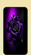 black rose captura de pantalla 2