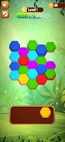 Hexa Color Match Puzzle Game تصوير الشاشة 1